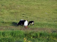 2012095533 Debre Berhan -Ethiopia