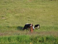 2012095534 Debre Berhan -Ethiopia