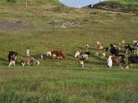 2012095536 Debre Berhan -Ethiopia