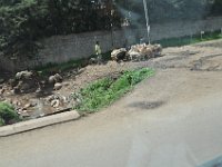 2012094465 City Views - Addis Ababa Ethiopia Sep 25