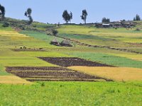 2012095915 Ankober -Ethioipia - Sep 28