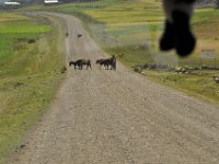 2012095917 Ankober -Ethioipia - Sep 28