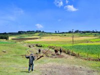 2012095918 Ankober -Ethioipia - Sep 28