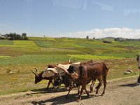 2012095927 Ankober -Ethioipia - Sep 28