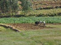 2012095929 Ankober -Ethioipia - Sep 28