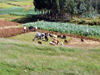 2012095930 Ankober -Ethioipia - Sep 28