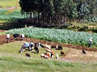 2012095930A Ankober -Ethioipia - Sep 28