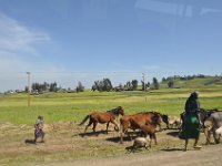 2012095933 Ankober -Ethioipia - Sep 28