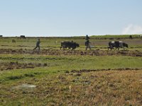 2012095935 Ankober -Ethioipia - Sep 28