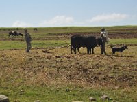 2012095936 Ankober -Ethioipia - Sep 28