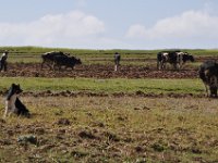 2012095939 Ankober -Ethioipia - Sep 28