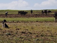 2012095940 Ankober -Ethioipia - Sep 28