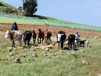 2012095941 Ankober -Ethioipia - Sep 28
