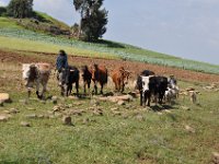 2012095942 Ankober -Ethioipia - Sep 28
