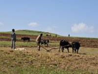 2012095943 Ankober -Ethioipia - Sep 28