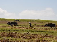 2012095944 Ankober -Ethioipia - Sep 28