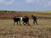2012095945 Ankober -Ethioipia - Sep 28