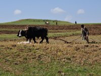 2012095948 Ankober -Ethioipia - Sep 28