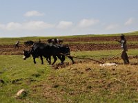 2012095950 Ankober -Ethioipia - Sep 28