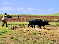 2012095951 Ankober -Ethioipia - Sep 28