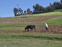 2012095953 Ankober -Ethioipia - Sep 28