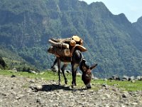 2012095974 Ankober -Ethioipia - Sep 28