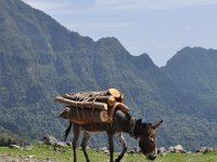 2012095975 Ankober -Ethioipia - Sep 28