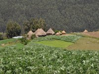 2012095979 Ankober -Ethioipia - Sep 28