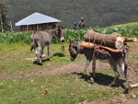 2012095981 Ankober -Ethioipia - Sep 28