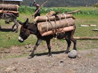 2012095982 Ankober -Ethioipia - Sep 28