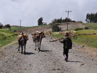 2012095984 Ankober -Ethioipia - Sep 28