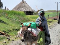 2012095988 Ankober -Ethioipia - Sep 28