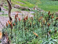 2012095999 Ankober -Ethioipia - Sep 28