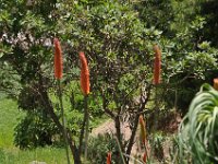 2012096002 Ankober -Ethioipia - Sep 28