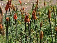 2012096003 Ankober -Ethioipia - Sep 28