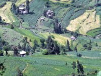 2012096056 Ankober -Ethioipia - Sep 28