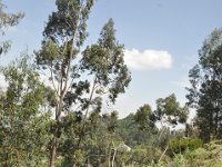 2012096061 Ankober -Ethioipia - Sep 28