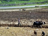 2012096081 Ankober -Ethioipia - Sep 28