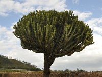 2012096761 Stelae Park - Axum - Ethiopia - Oct 01