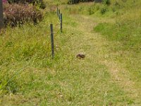 2012096815 Stelae Park - Axum - Ethiopia - Oct 01