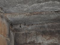 2012096836 Tombs of Kaleb and Gebre Meskel - Axum - Ethiopia - Oct 01