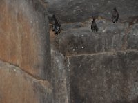 2012096837 Tombs of Kaleb and Gebre Meskel - Axum - Ethiopia - Oct 01
