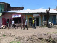 2012097005 Gondar - Ethioipia -  Oct 02