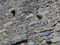 2012097160 Debre Birhan Selassie Church - Gondar Ethiopia - Oct 02