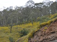 2012097204 Gondar - Ethioipia -  Oct 02