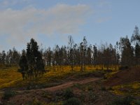 2012097205 Gondar - Ethioipia -  Oct 02