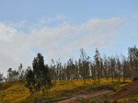 2012097206 Gondar - Ethioipia -  Oct 02