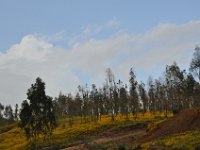 2012097207 Gondar - Ethioipia -  Oct 02