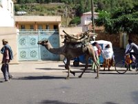 2012097242 Gondar - Ethioipia -  Oct 02