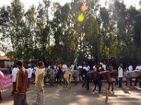 2012097519 Blue Nile Falls & Lake Tana - Ethioipia - Oct 05